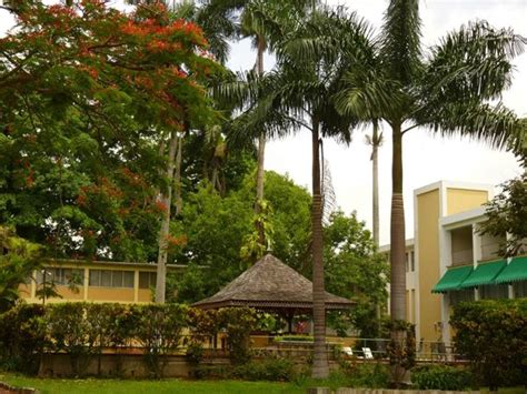 Mandeville Hotel - UPDATED 2017 Prices, Reviews & Photos (Jamaica ...