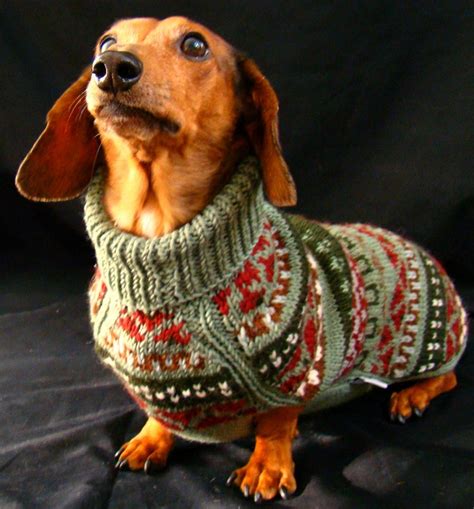 Fair Isle Handknit Dachshund Dog Sweater Mock Turtleneck | Etsy