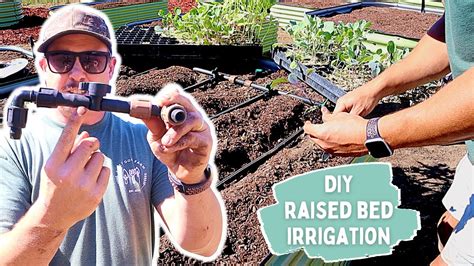 IT'S FINISHED! | DIY RAISED BED IRRIGATION SYSTEM - YouTube