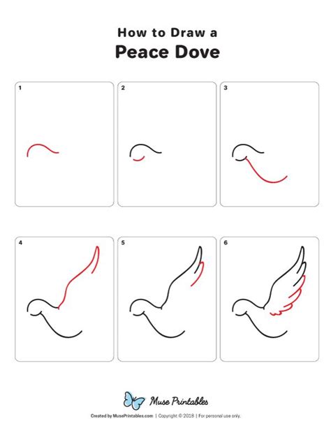 How To Draw A Dove Step By Step