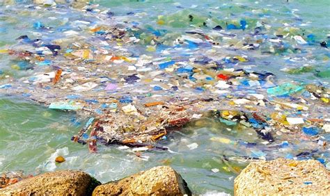 Impact of Microplastics/Microbeads Accumulation on the Marine Environment