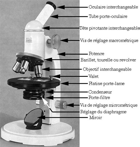 microscope