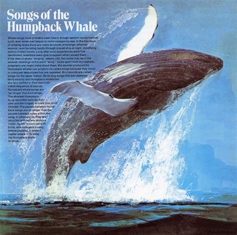 Humpback Whale - Songs Of The Humpback Whale (2001, CD) | Discogs