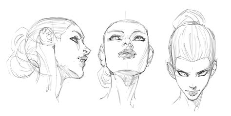 Getting Perspective On The Female Head | Perspective sketch, Face drawing reference, Art ...