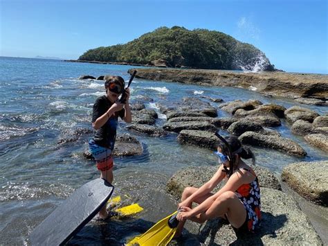 Goat Island Marine Reserve (Warkworth) - 2020 All You Need to Know BEFORE You Go (with Photos ...