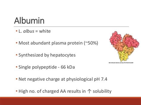 Serum Protein and Albumin-Globulin Ratio