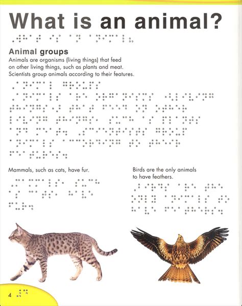 DK Braille: Animals Board Book | Dorling Kindersley | 9781465436115