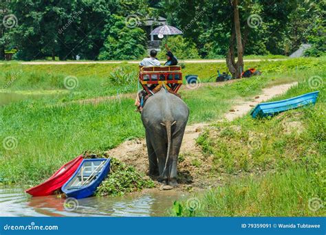 Tour of Thailand-Thailand Elephant Conservation Center Lampang . Stock ...