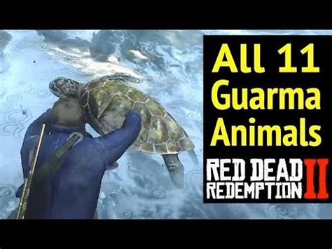 All 11 Guarma Animals in Red Dead Redemption 2 (RDR2): Rare Green Turtle and Locations - YouTube