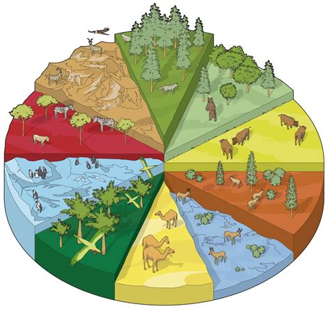 Land Habitats | Different Habitat Types | DK Find Out