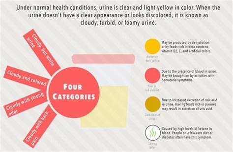 Foamy Urine - Causes And Remedies