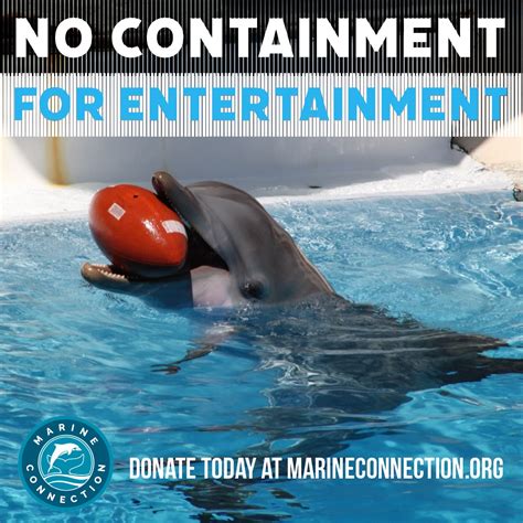 Captivity | Marine Connection