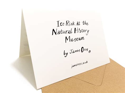 Ice Rink at the Natural History Museum — James Oses