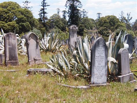 Rookwood Cemetery: Haunting Ground of the Living - Unusual Places