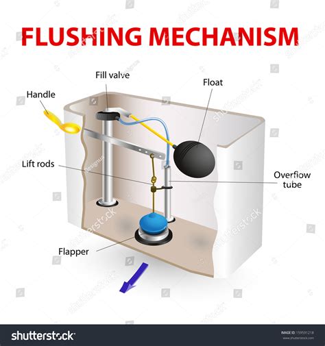 Flush Toilet Flushing Mechanism Diagram How Stock Illustration ...