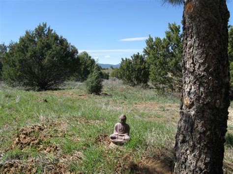 Tijeras, New Mexico 87059 Listing #19061 — Green Homes For Sale