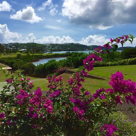 Pin by Avril Kay on Flora and fauna of Bermuda | Island life style, Natural landmarks, Fauna