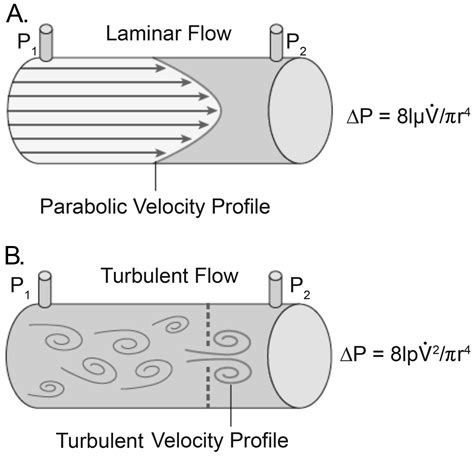 What Does Airway Resistance Tell Us About Lung Function? | Respiratory Care