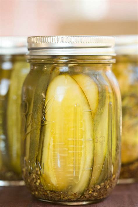 Dill Pickles Recipe | Recipe | Sandwich pickles, Dill pickle recipe, Pickling recipes