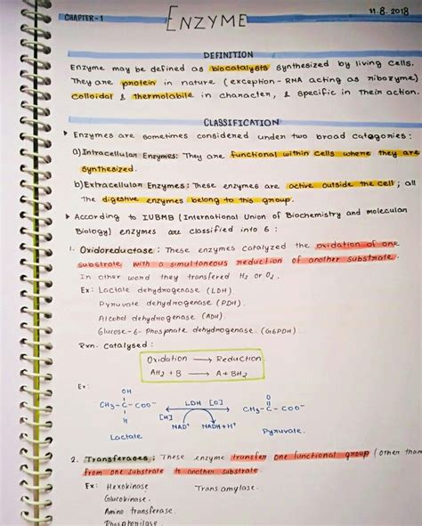 Enzyme | Biochemistry notes, Biology notes, Enzymes biology