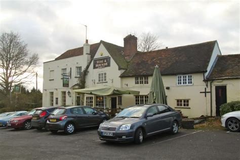 Stag & Hounds, Binfield - CAMRA - The Campaign for Real Ale