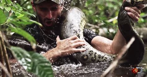 Twitter reacts to man being 'Eaten Alive' by snake