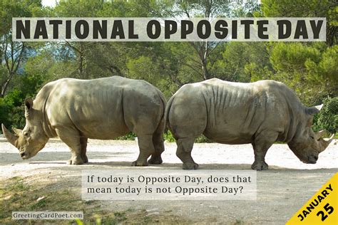 National Opposite Day - Jokes, Captions, Quotes, and FAQs | Leadership, 25th quotes, Cognitive ...