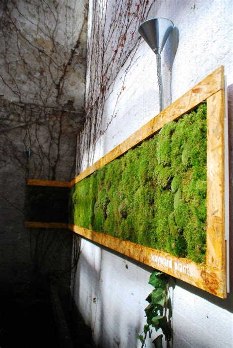 Moss wall. | Moss wall, Vertical garden, Wall garden