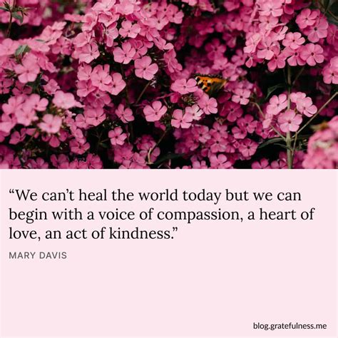 60+ Compassion Quotes to Make This World a Kinder Place