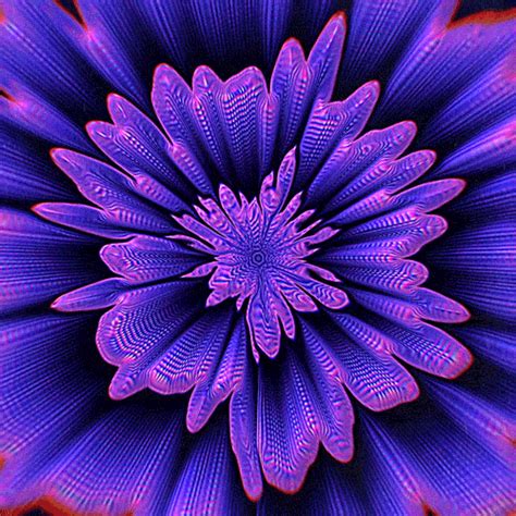 an abstract purple flower is shown in this image