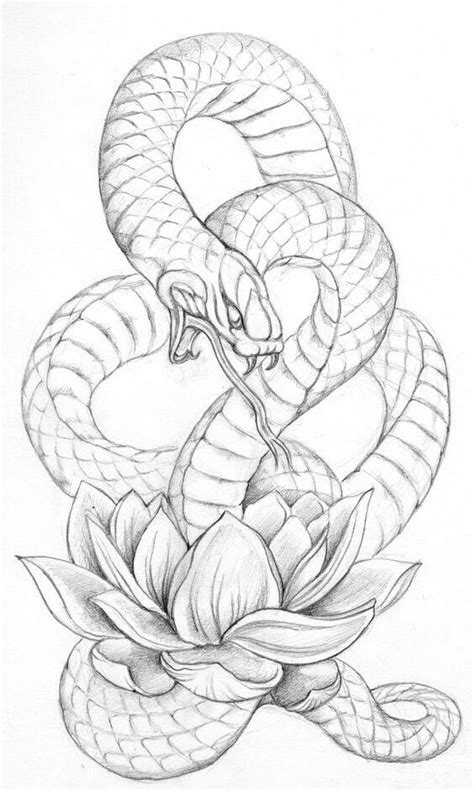 Pin by Laura on Colouring pages for Adults | Snake drawing, Snake tattoo design, Tattoo designs ...