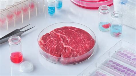 Move Over, Impossible Burger. Lab-Grown Meat is Just a Few Years Away | Buzzworthy