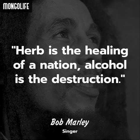 60 Best Weed and Stoner Quotes - The Ultimate List — Mongolife