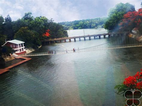 Malampuzha Dam hanging bridge | Tourist places, Kerala tourism, Hanging ...