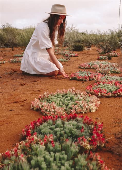 Western Australia Wildflowers Guide: When + Where to See Them