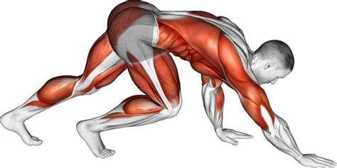 Total Body Strength: Master the Bear Crawl for Full-Body Fitness ...