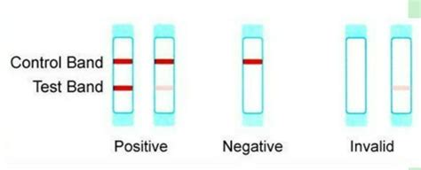 A Beginners Guide to the Pregnancy Test Kit - Indusladies.com