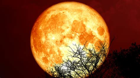 Red Moon Cycle: What It Means To Get Your Period Around This Lunar Phase