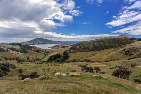 The Otago Peninsula New Zealand 6744652 Stock Photo at Vecteezy