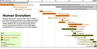 Science and Evolution: Neanderthal Timeline