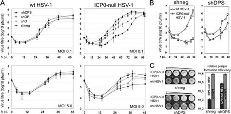 Initial stages of HSV-1 replication are cooperatively repressed by ...