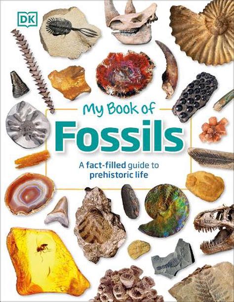 My Book of Fossils by Dk, Hardcover, 9780241533369 | Buy online at The Nile