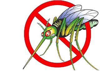 Mosquito clipart dengue mosquito, Mosquito dengue mosquito Transparent FREE for download on ...