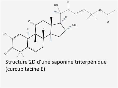 Saponines ou saponosides - Aplamedom Réunion