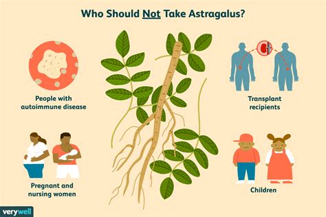 Astragalus: Benefits, Side Effects, Dosage