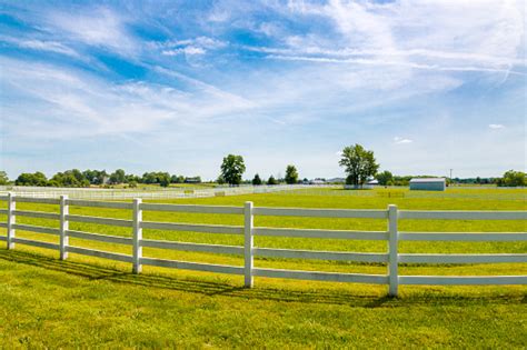 Green Pastures Of Horse Farms Country Summer Landscape Stock Photo ...