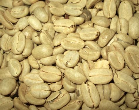 Green coffee beans Free Photo Download | FreeImages