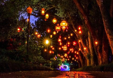 The best ways to see Christmas lights in Orlando this holiday season | Orlando | Orlando Weekly