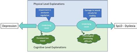 different levels of explanation of underlying causes | Download ...