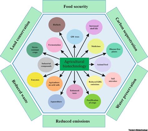 Agricultural biotechnology for sustainable food security: Trends in ...